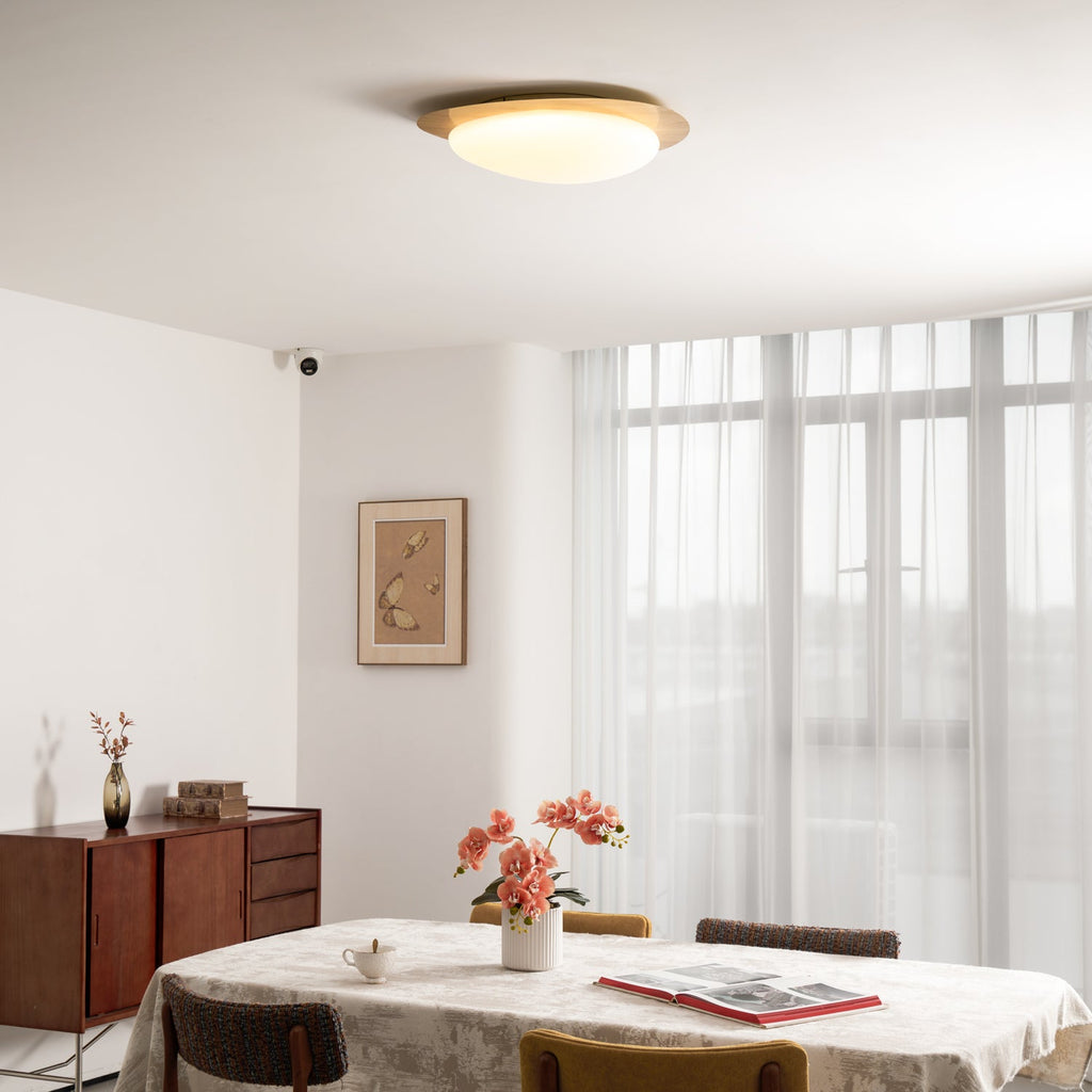 Pebble Metal Ceiling Light