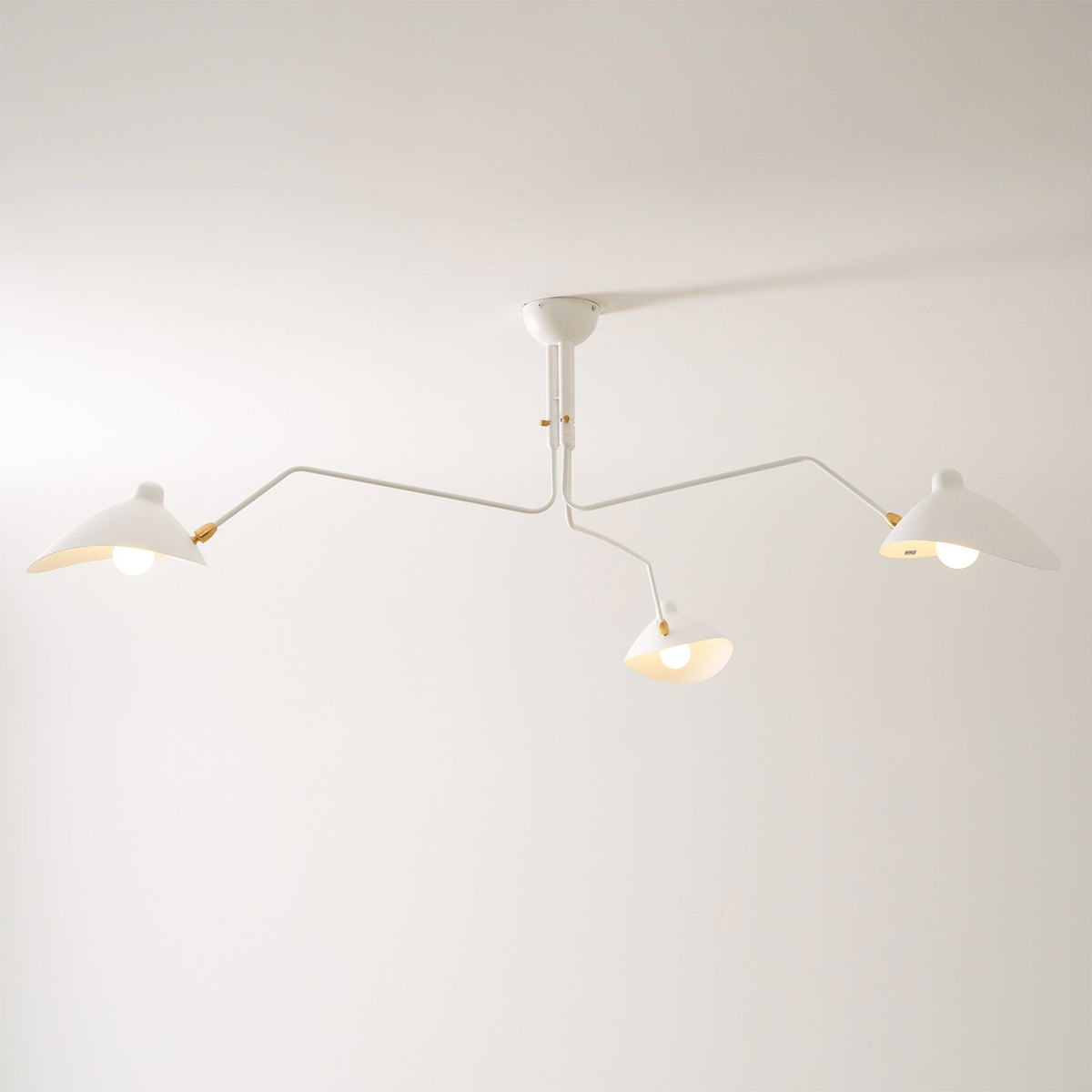 Multi-Arm Spider Ceiling Light A