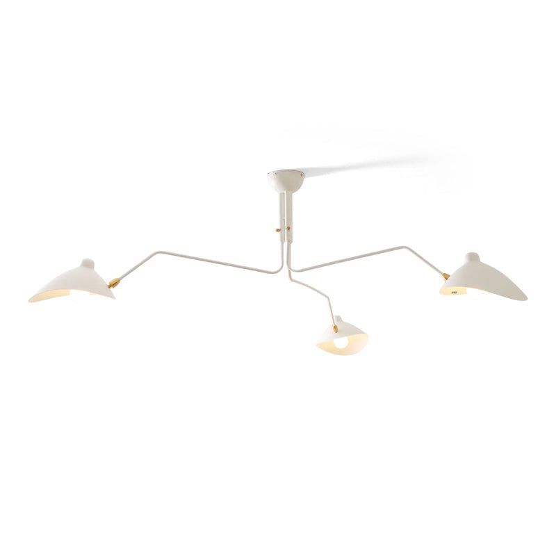 Multi-Arm Spider Ceiling Light A